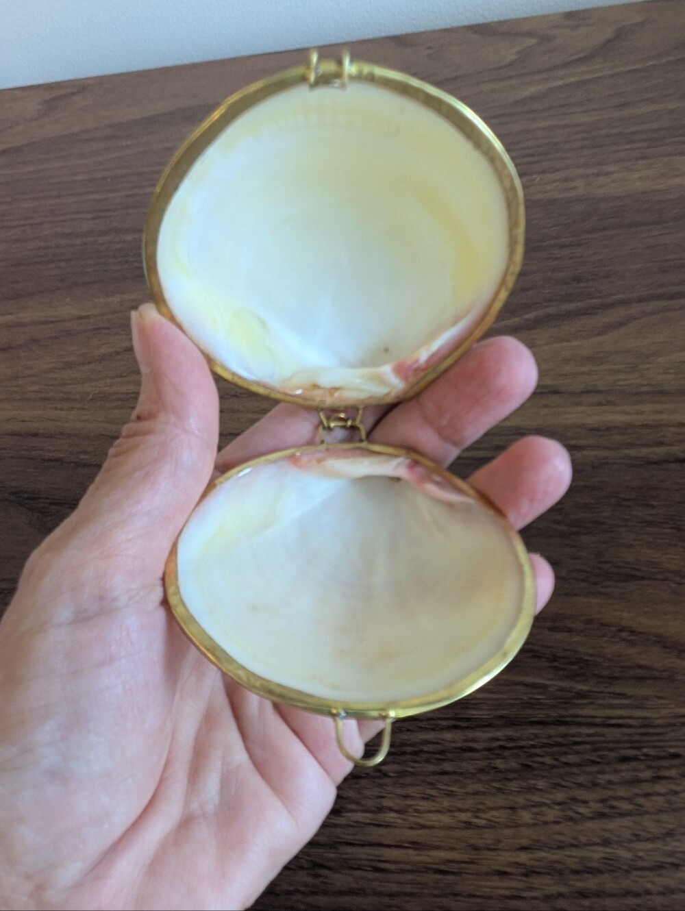 Vintage Sea Clam Shell Compact Jewelry Trinket Box Metal Mount Brass Hinged Coin